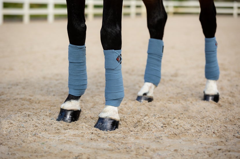 An example of a complete set of polo wraps on a horse.