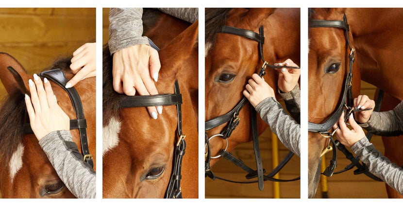 Visual steps of a woman's hands adjusting a Micklem bridle on her Chestnut horse. 