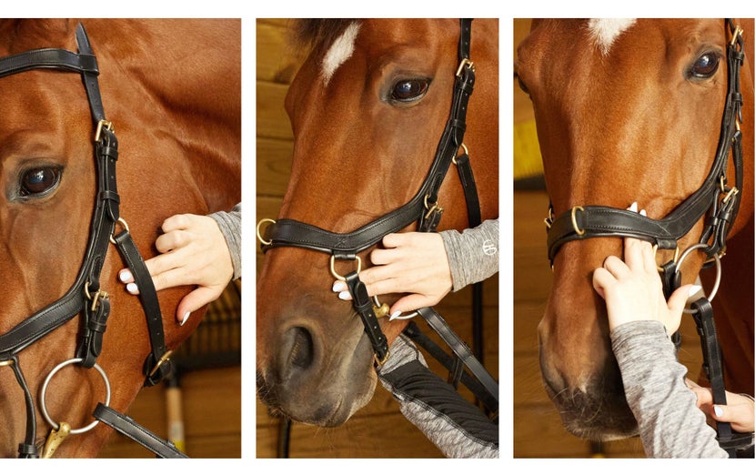 Continued visual steps of a woman's hands adjusting a Micklem bridle on her Chestnut horse.