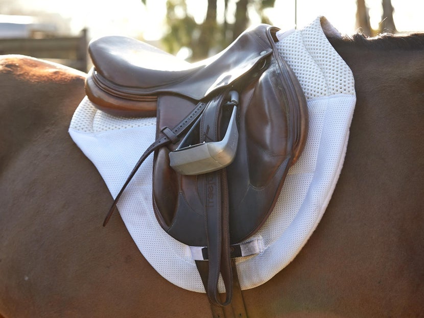 English saddle with a full English saddle pad