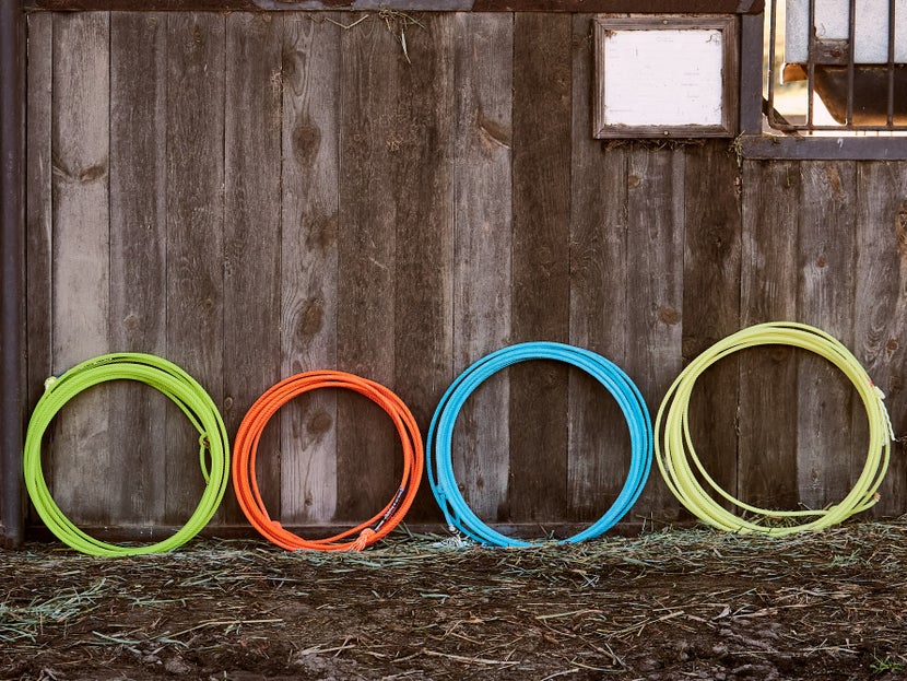 Ropes side by side, laid against a wooden stall. 