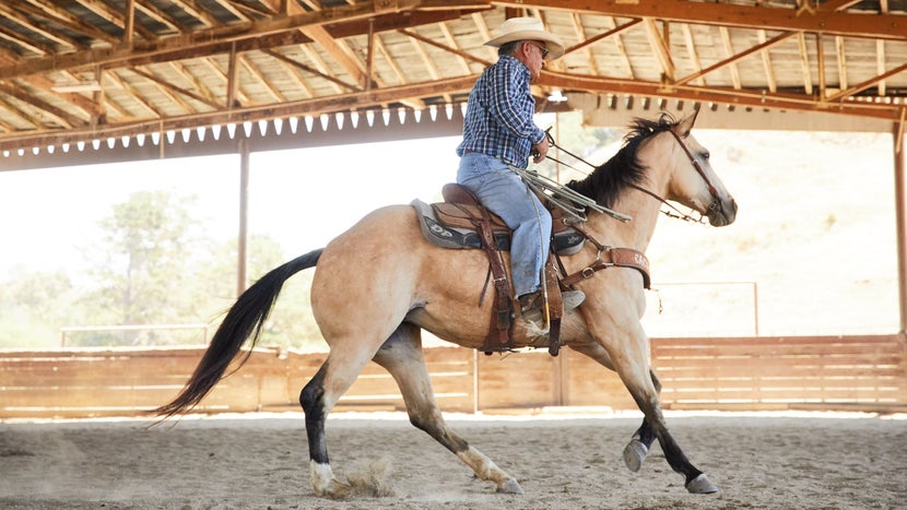 Man and palomino horse loping in an arena, outfitted in Western attire and tack. 