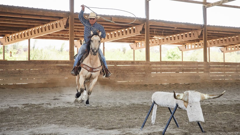 Western rider on horseback, throwing the rope at a dummy cow in an arena. 