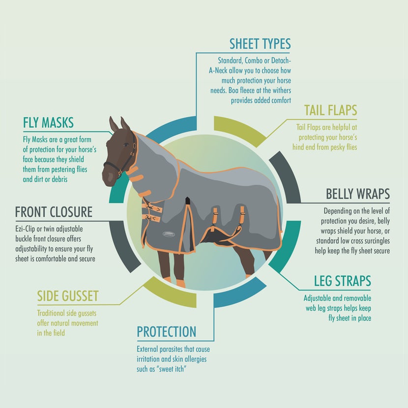 Diagram on Weatherbeeta fly sheet features