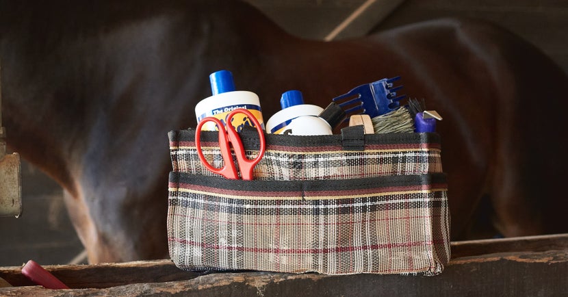 Winter Horse Grooming Guide