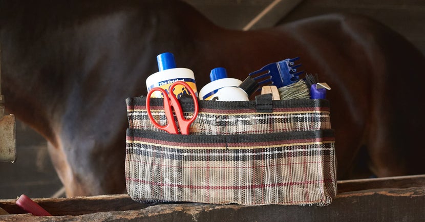 A complete grooming kit with a horse in the background.