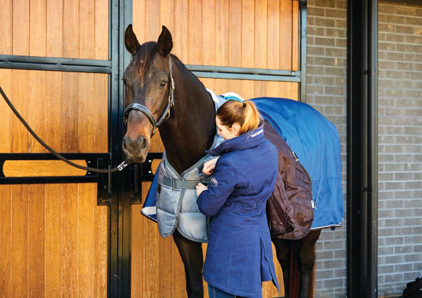 Woman in a blue coat clipping in a blanket liner underneath a turnout sheet on her dark bay horse. 