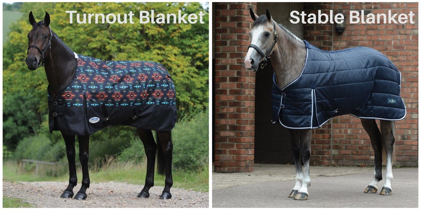Comparison of two horses: one wearing a filled turnout blanket which is waterproof, and the other wearing a filled stable blanket which is not waterproof.