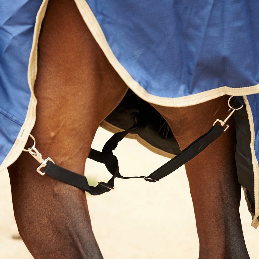 Close up of a horse's hind legs, showing how a blanket's leg straps cross through one another to prevent rotation of the blanket.