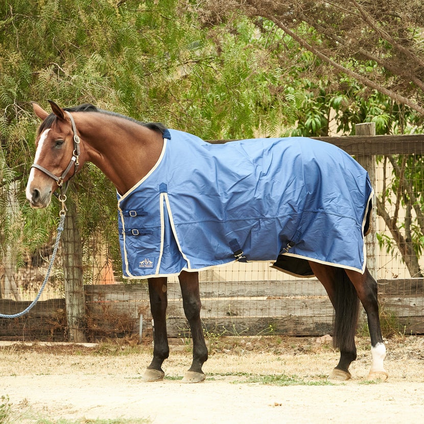 Bay horse standing with a Riding Warehouse blue turnout sheet on, showing how a blanket should fit. 