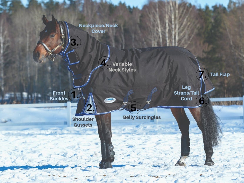 A labeled picture showing parts and features of a winter horse blanket on a bay horse in the snow. 