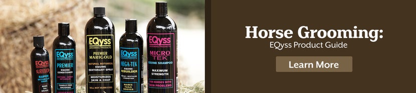 A related article banner that has half taken up by a picture of EQyss grooming supplies, and half taken by a dark brown background with the words 