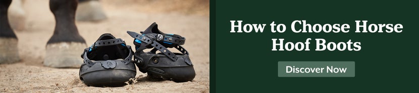 How to Choose Horse Hoof Boots