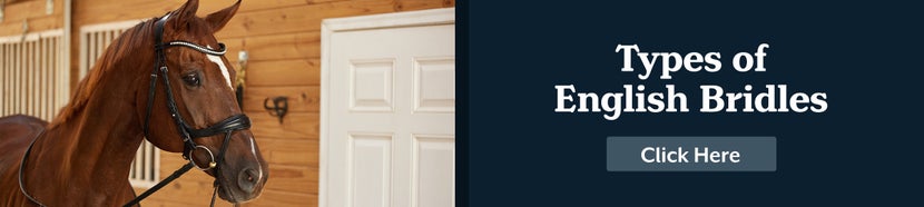 Types of English Bridles: Click Here