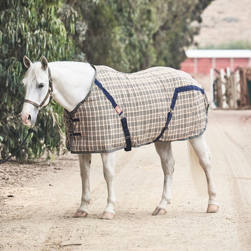 Grey horse wearing the 5A Baker plaid stable blanket. 