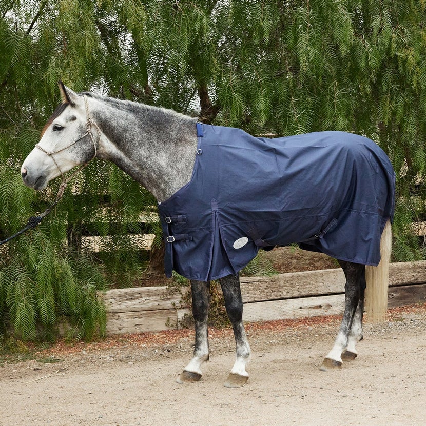 Grey horse standing against a hedge wearing the Equi-Essentials Waterproof Turnout Blanket