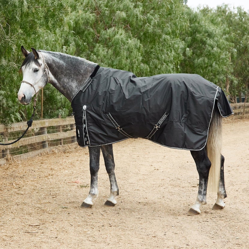 Grey horse standing next to a hedge wearing the Equinavia Norse Mid Weight Turnout Blanket in black