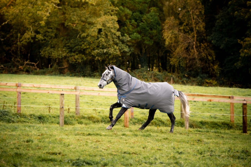 Grey horse galloping in a grass field wearing a Horseware Rhino Turnout Blanket.