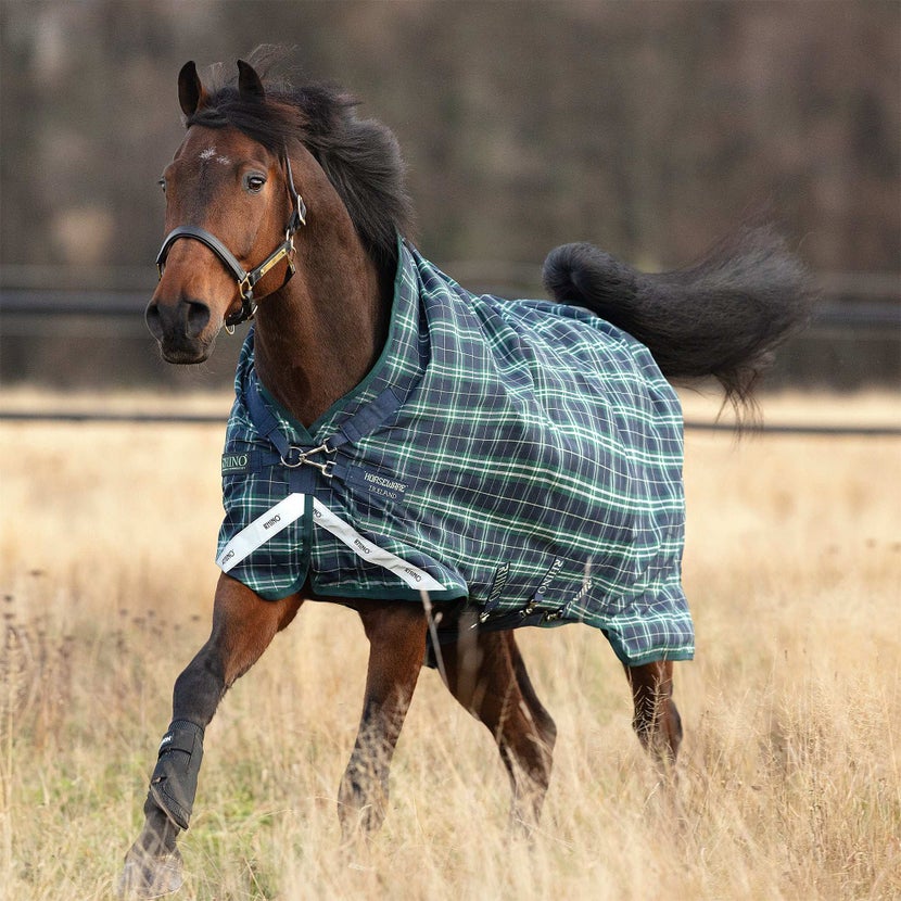 Best Winter Horse Blankets