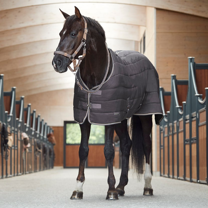 Bay horse standing in a barn wearing the Horze Glasgow Light Weight Stable Sheet in grey. 