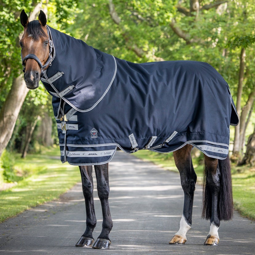 Bay horse standing in the road wearing the LeMieux Arika Storm-Tec Rug Turnout Blanket