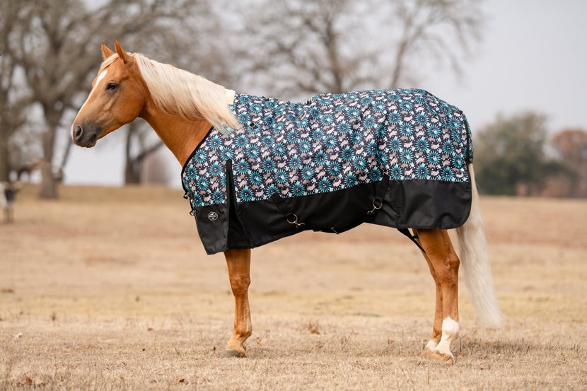 Palomino horse standing in a field wearing the Professional's Choice 1200 D Winter Blanket in Bison print