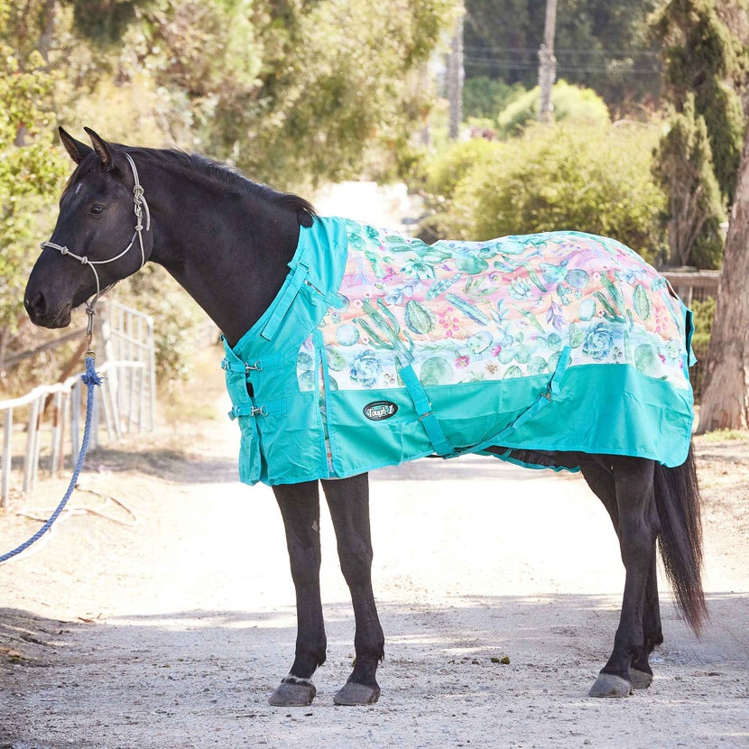 Best Winter Horse Blankets