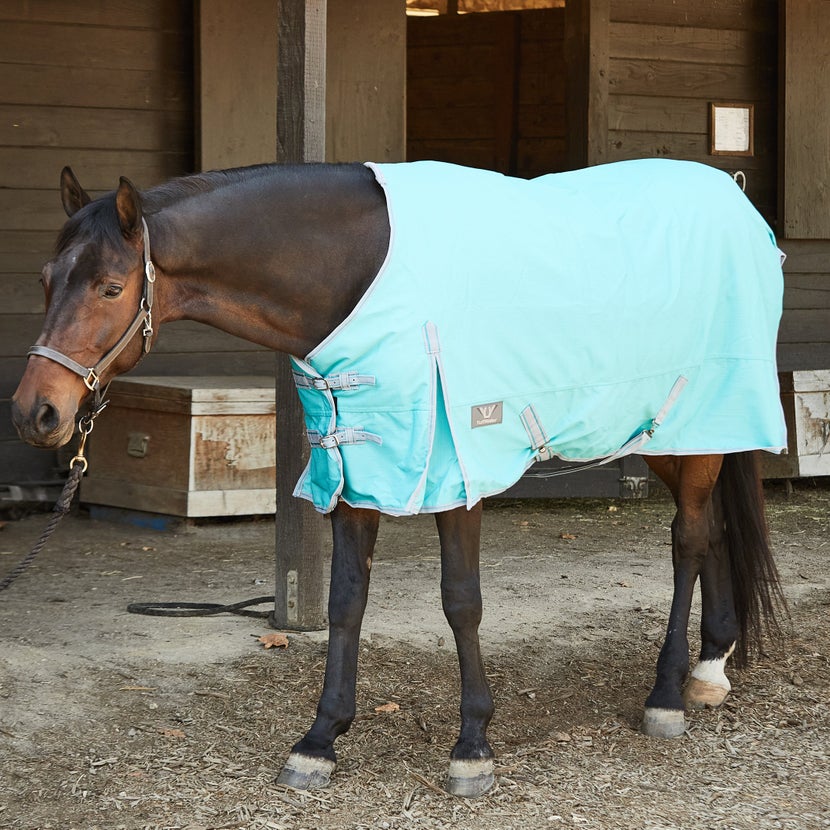 Bay horse standing by a barn wearing the TuffRider 1200D Comfy Turnout Blanket with Standard Neck