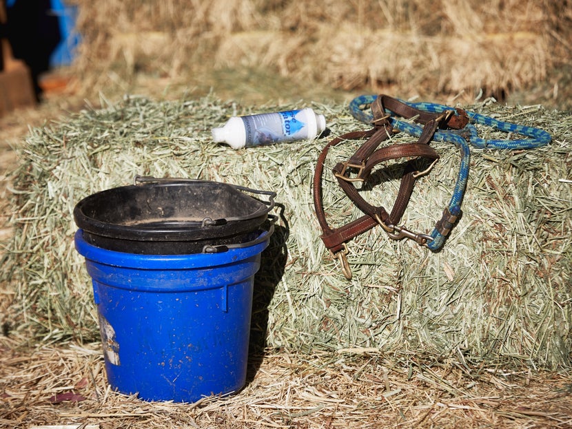 Get Your Supplies Ready: Hay Bag, Water Buckets, Horse Halters