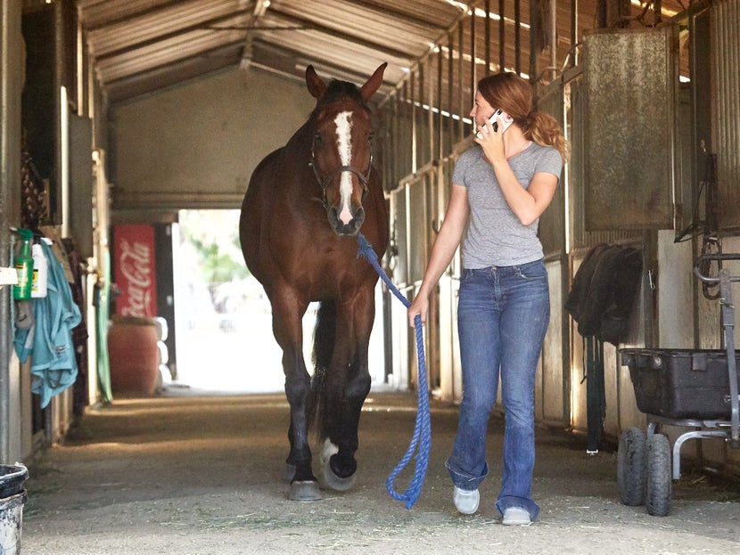 Have a Game Plan for Equine Emergencies