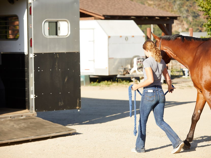 Be Prepared to Transport/Trailer Your Horse