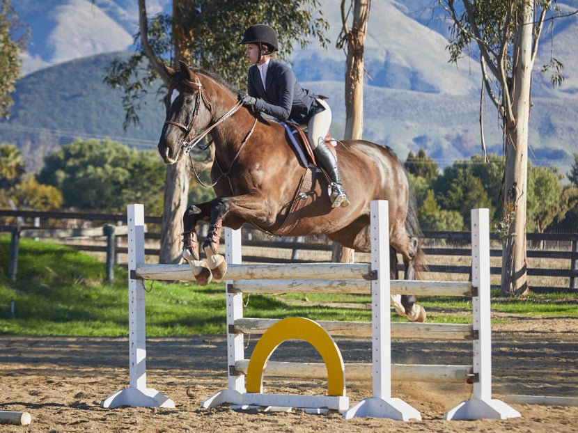 Rider and horse jumping over jump.