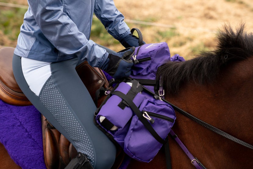 A rider on horseback modeling English riding tights. 