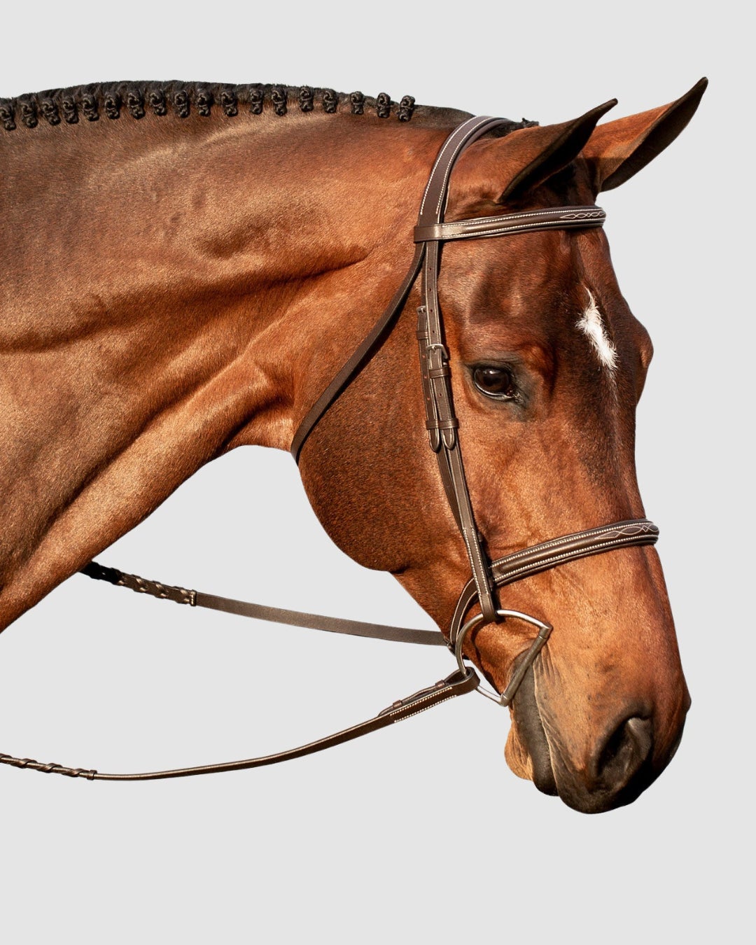 A bay horse wearing the Henri de Rivel Pro Monocrown Snaffle Bridle.
