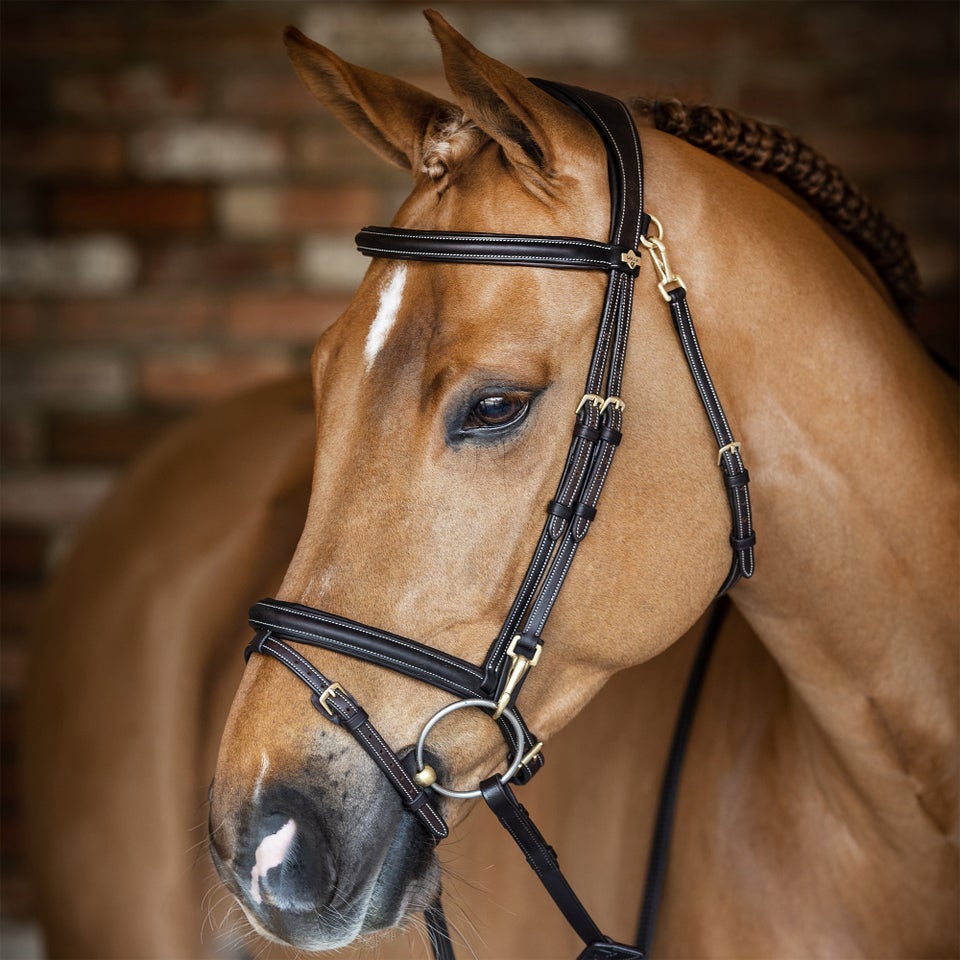 A dark brown bridle with brass fixtures on a light-colored horse.