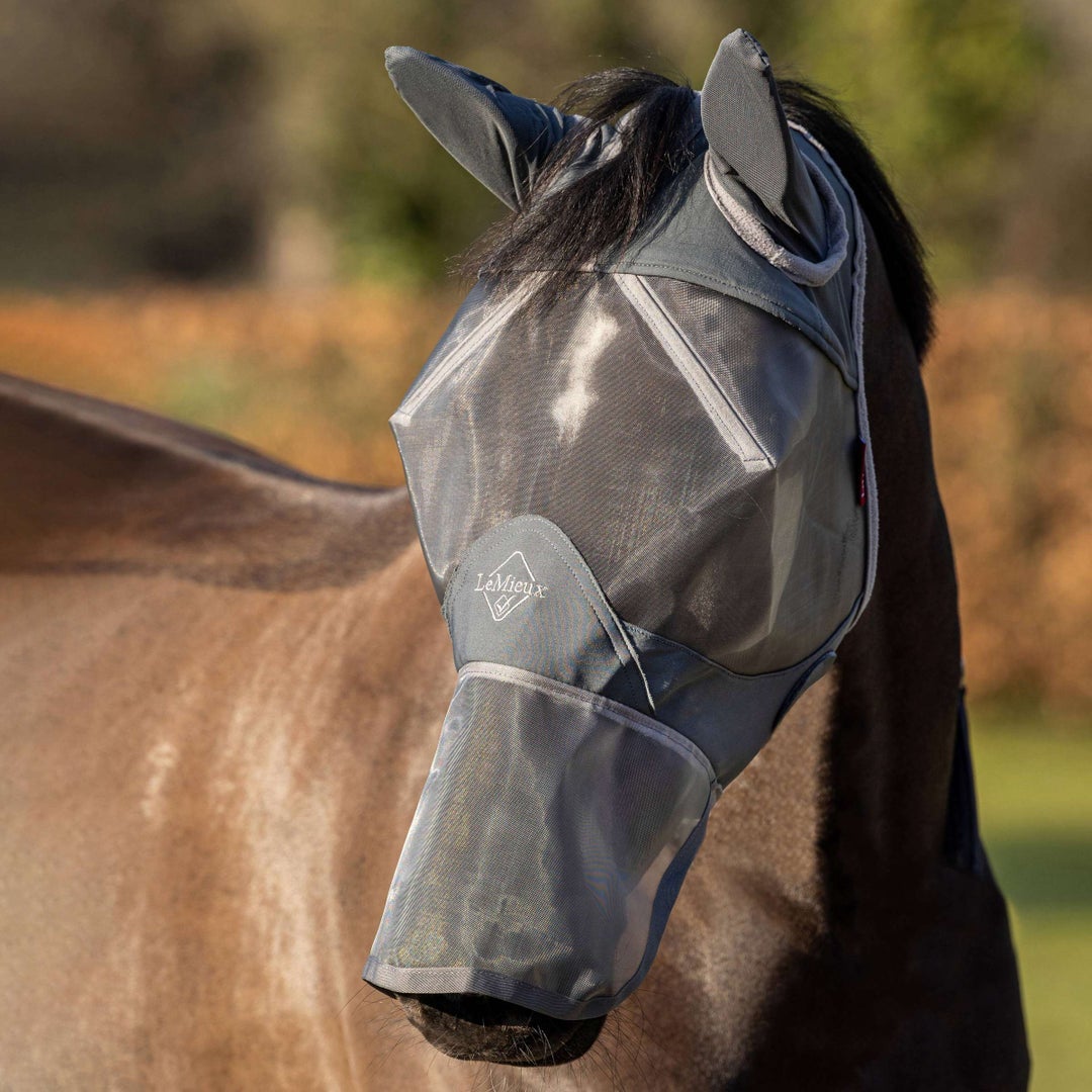 The LeMieux Armourshield Pro Full Fly Mask, an example of a full coverage fly mask.