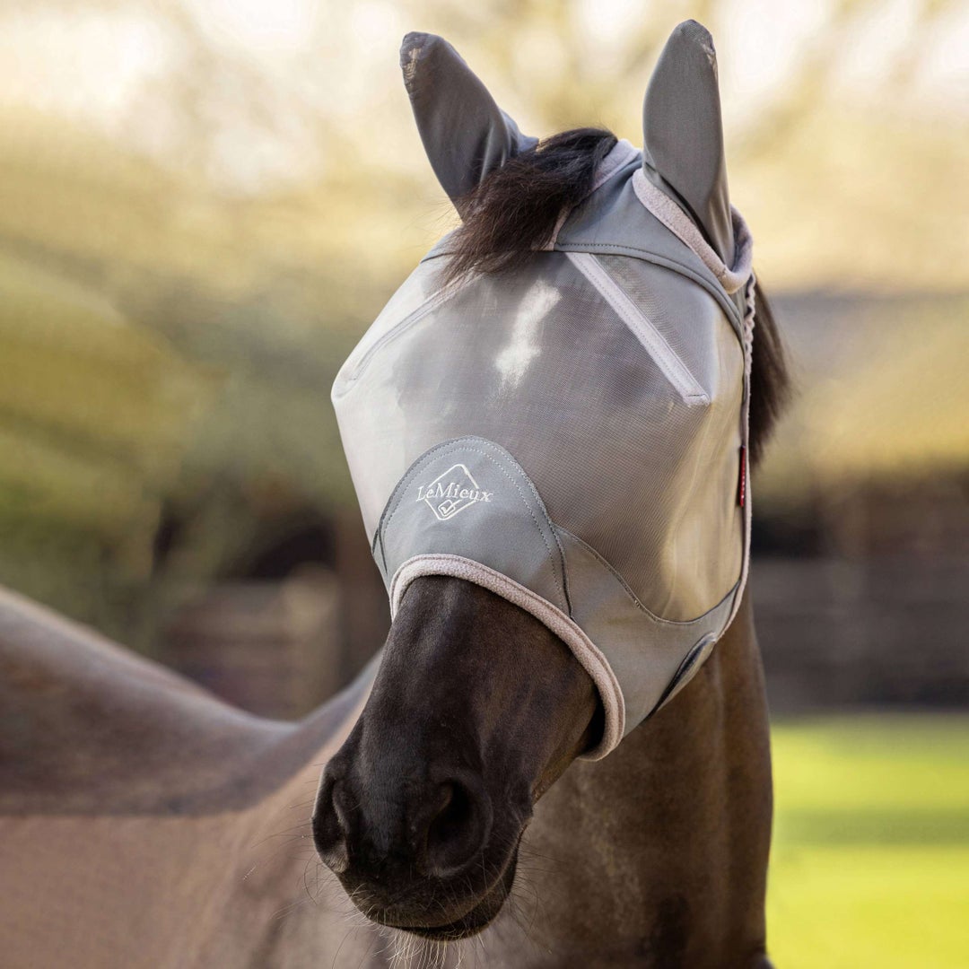 LeMieux Armourshield Pro Half Fly Mask with Ears in Grey. An example of a horse fly mask with ear coverage.