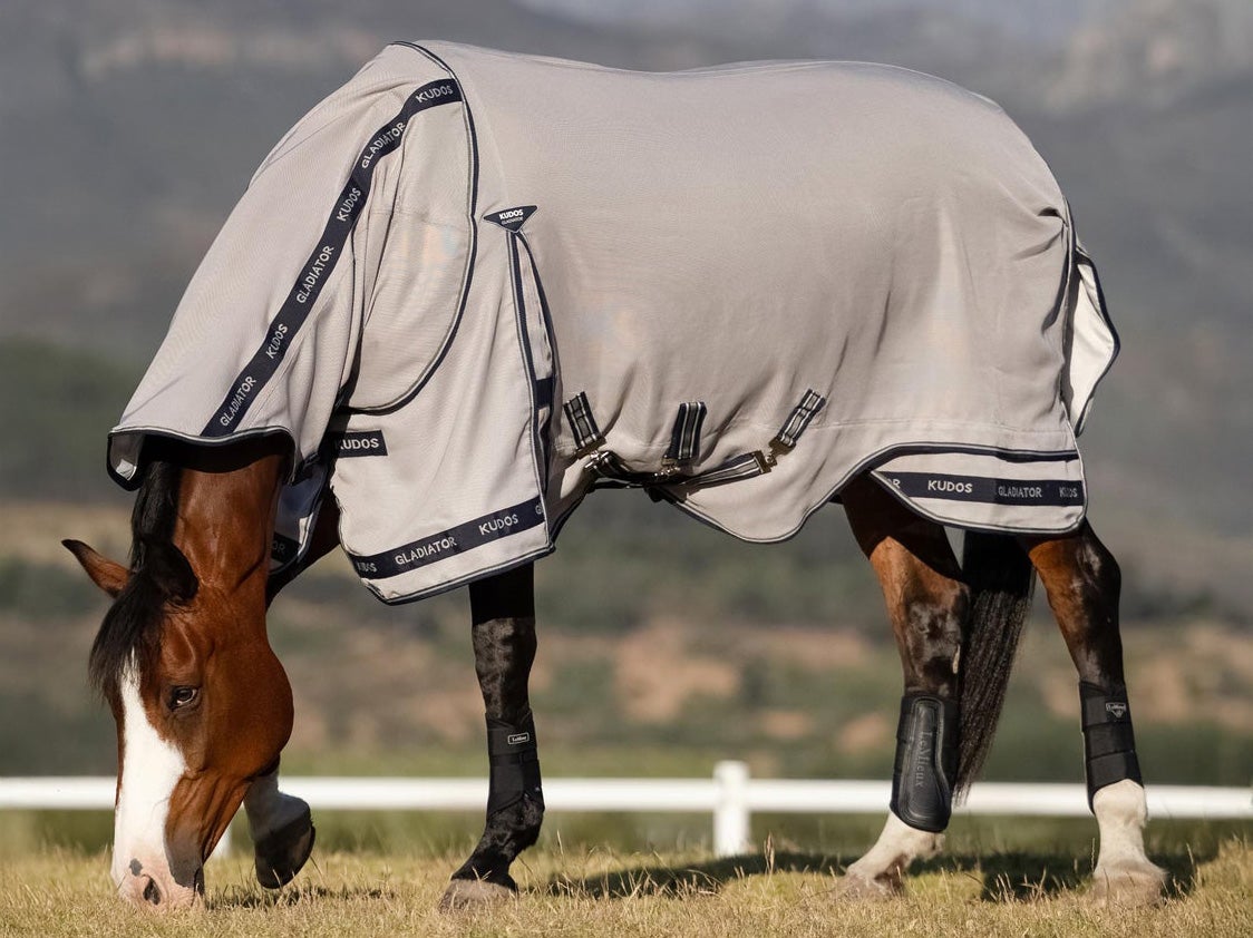 A bay horse grazing in a pasture wearing the LeMieux Gladiator Fly Sheet.