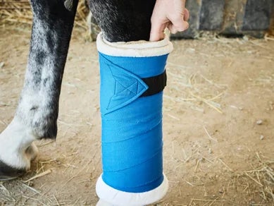 Someone sticking two fingers in the top of the standing wrap to check for the appropriate tightness. 