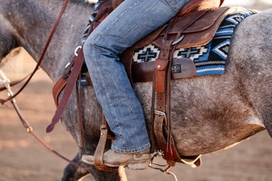 A grey horse wearing a blue and grey saddle pad and western saddle.