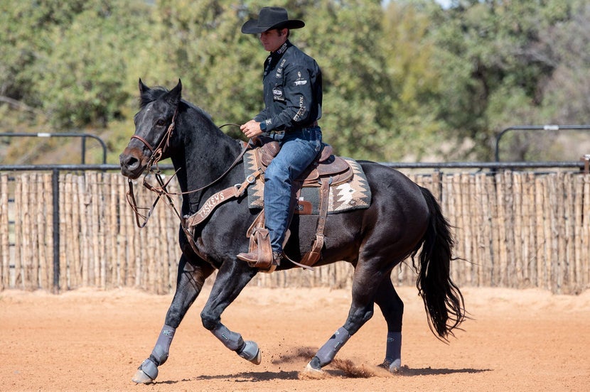 A black horse wearing light colored Western tack.