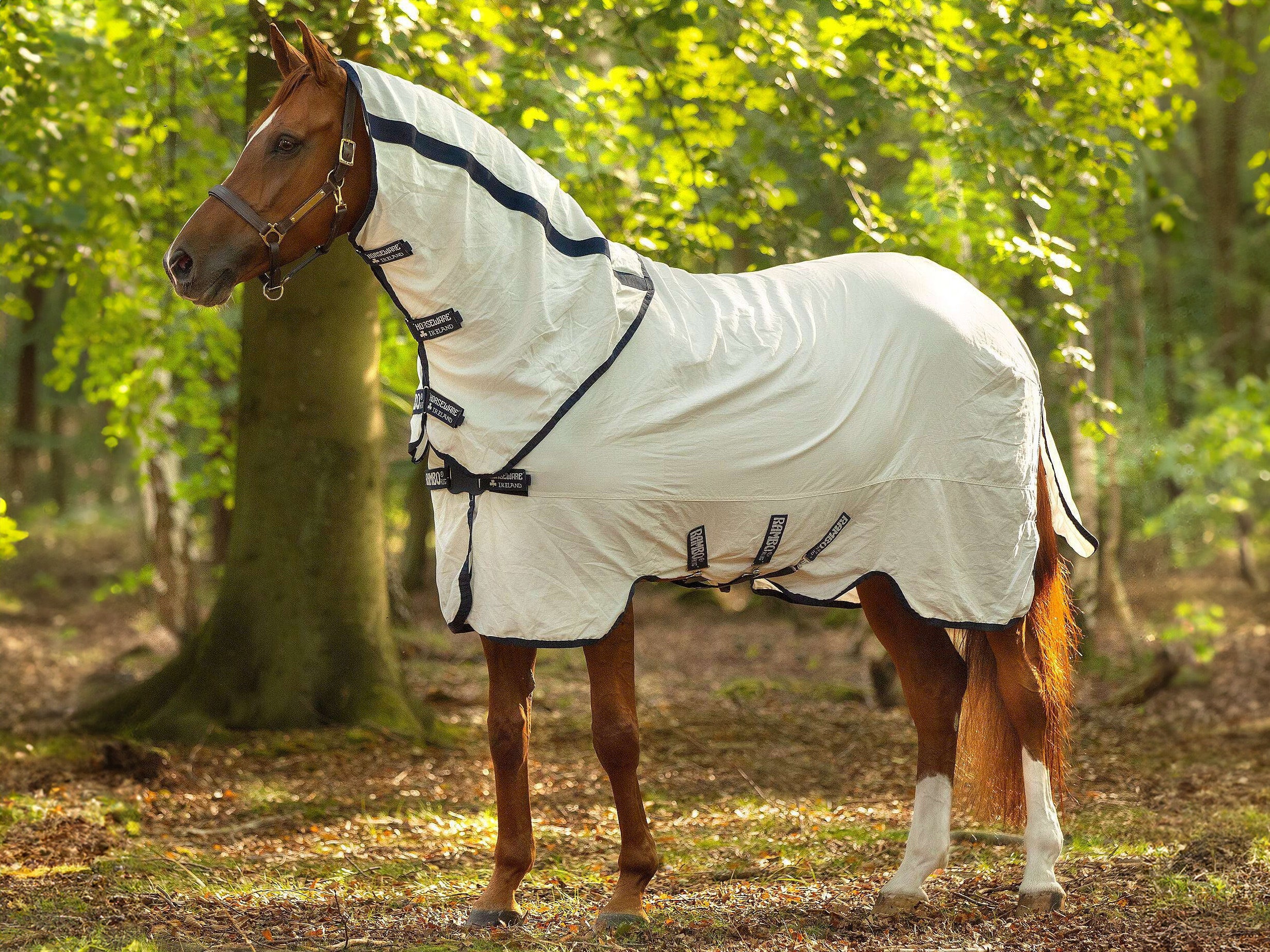 Bay horse standing in a green forest wearing the Horseware Natura Rambo fly sheet.