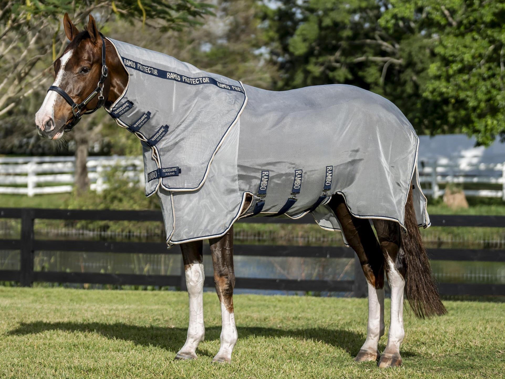Horse standing in a pasture wearing the Horseware Rambo Protector Fieldsafe Plus Fly Sheet