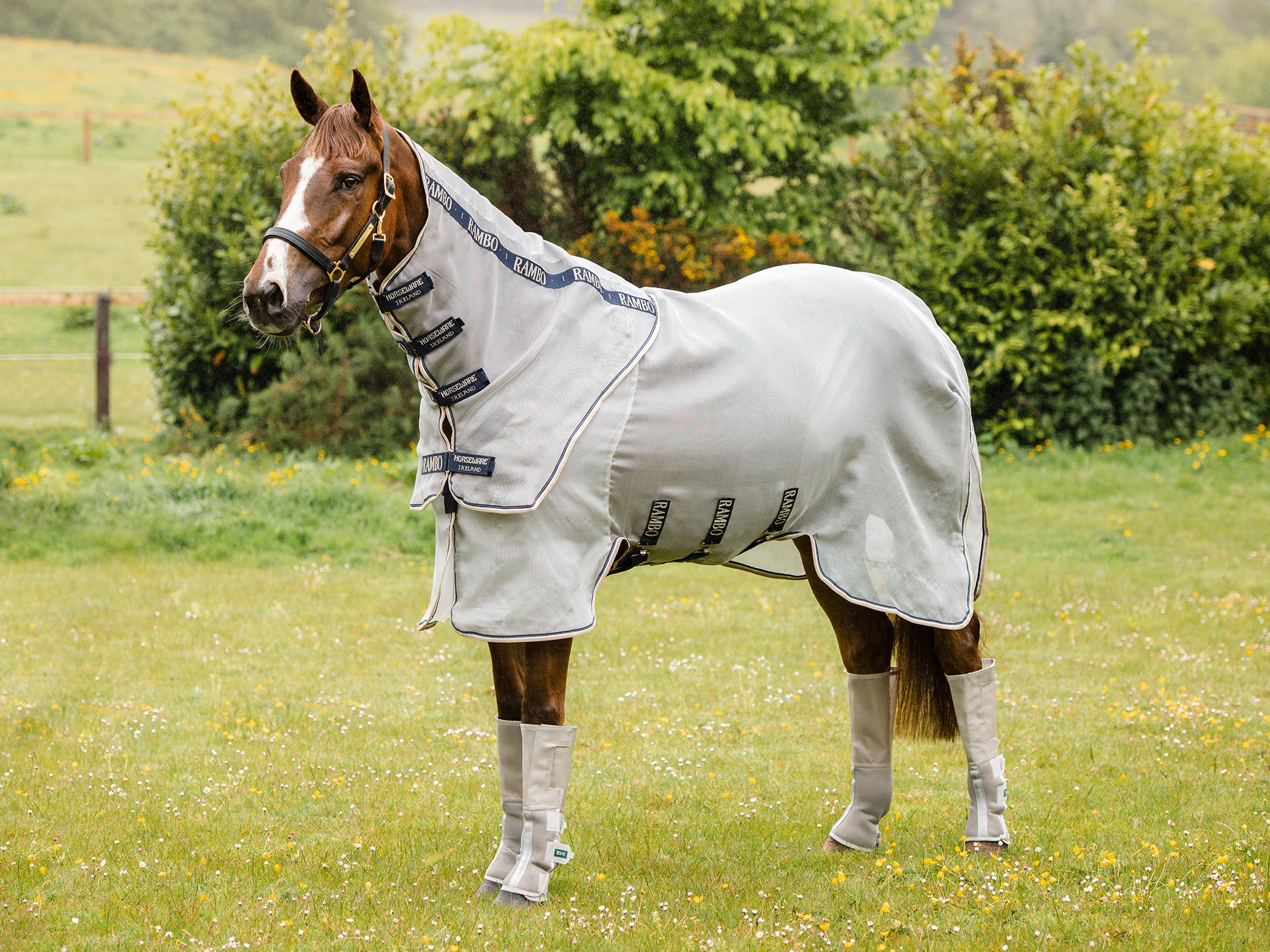 Bay horse standing in a grassy field wearing a tan Horseware Rambo fly sheet.
