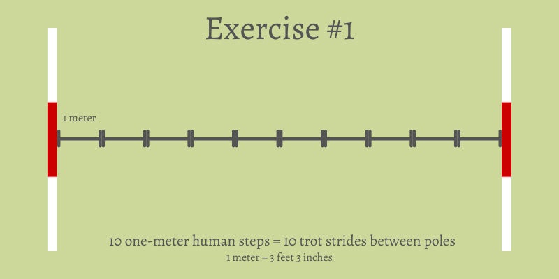 one meter to feet