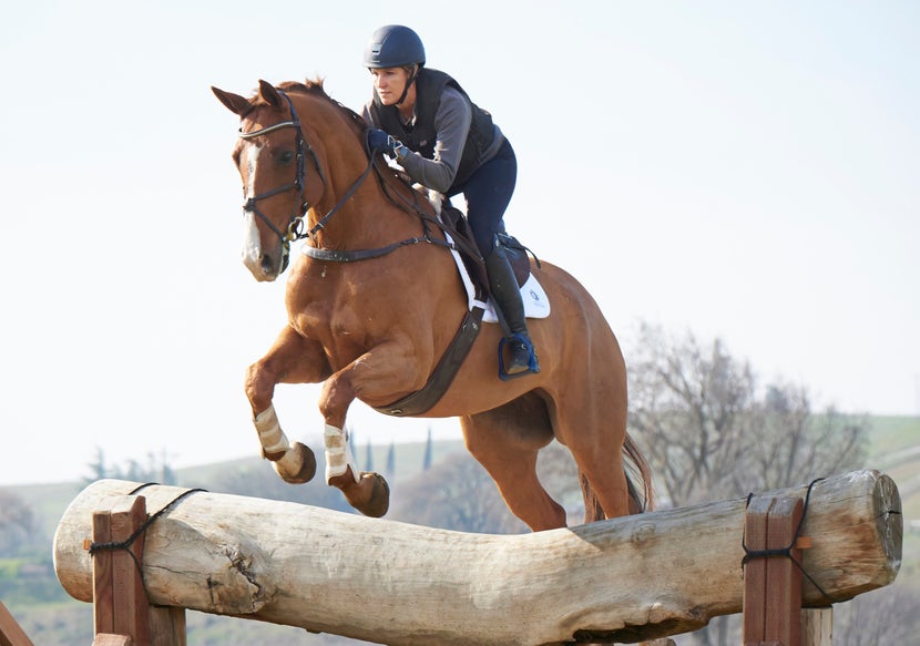 Horse and rider jumping in eventer attire and tack.
