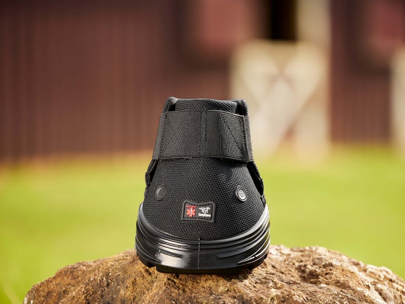 The EasyCare Easyboot RX Therapy Hoof Boots are the best for trailering. 