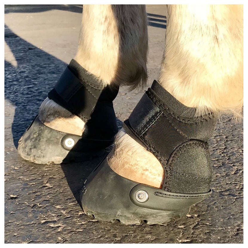 The EasyCare Glove Soft Hoof Boots on a horse standing on asphalt. 