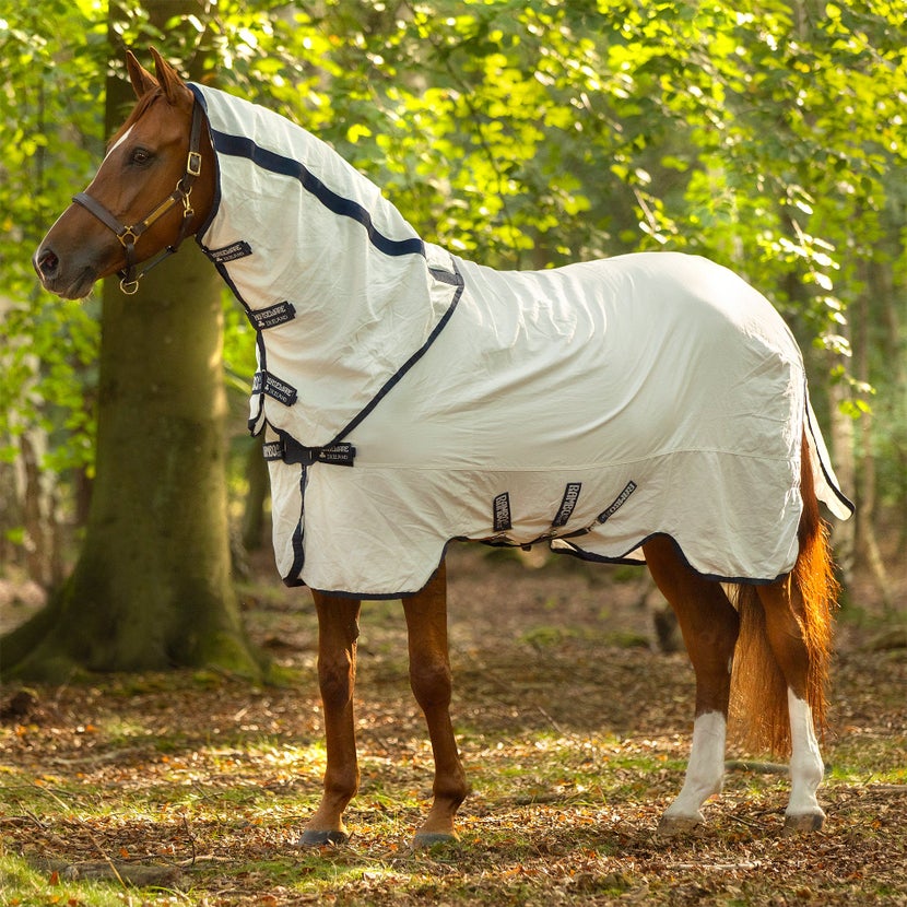 stocky quarter horse in pasture wearing combo fly sheet with neck piece 