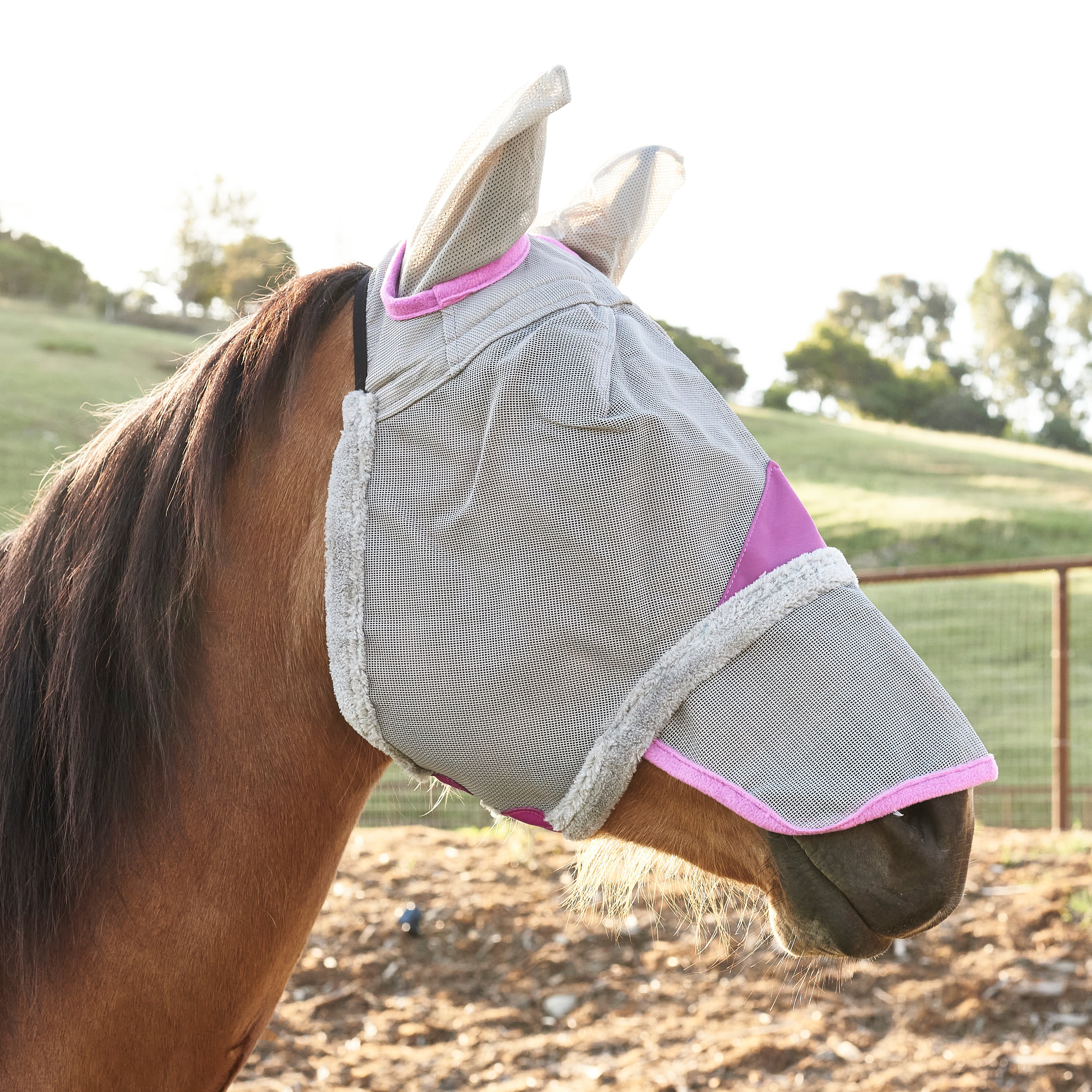 Non Heat Transferring fertgo Fly Mask for Horses with All-Round Breathable Mesh 